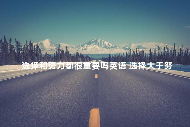 选择和努力都很重要吗英语 选择大于努力励志句子